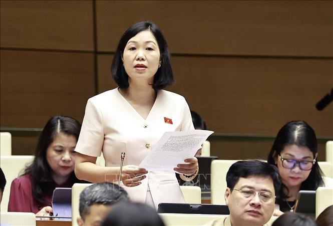 Đại biểu Quốc hội tỉnh Lào Cai Nguyễn Thị Lan Anh phát biểu. Ảnh: Doãn Tấn - TTXVN