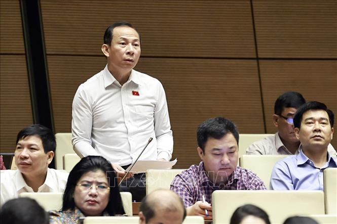 Đại biểu Quốc hội tỉnh Thanh Hoá Võ Mạnh Sơn phát biểu. Ảnh: Doãn Tấn - TTXVN