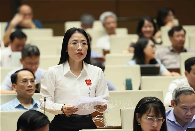 Đại biểu Quốc hội tỉnh Thái Bình Trần Khánh Thu phát biểu. Ảnh: An Đăng - TTXVN