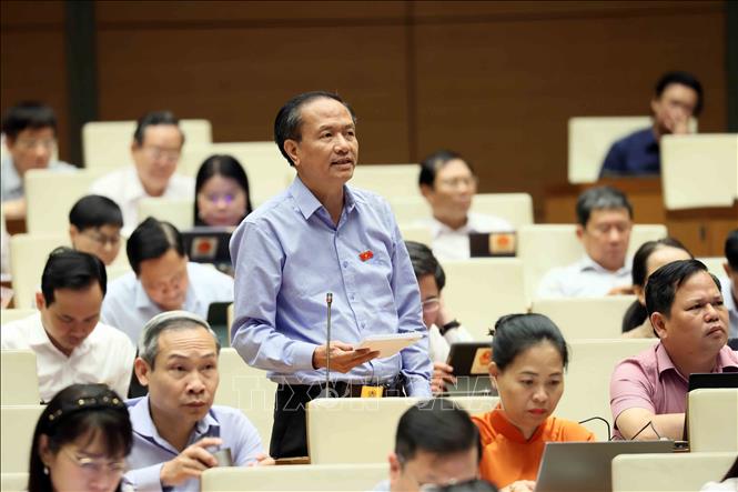 Đại biểu Quốc hội tỉnh Quảng Nam Tạ Văn Hạ phát biểu. Ảnh: An Đăng – TTXVN