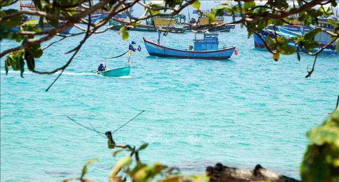 Khung cảnh nên thơ, bình yên tại khu vực Mũi Vi Rồng. Ảnh: Lê Phước Ngọc - TTXVN