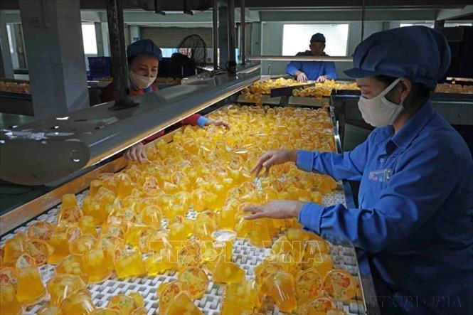 Dây chuyền sản xuất thạch rau câu và các sản phẩm có nguyên liệu chính từ cây rong sụn của Công ty TNHH Long Hải, Cụm công nghiệp 1, xã Gia Xuyên, thành phố Hải Dương, xuất khẩu đến nhiều thị trường như: Nga,  Đức, Trung Quốc, Lào, Campuchia… Ảnh: Trần Việt - TTXVN