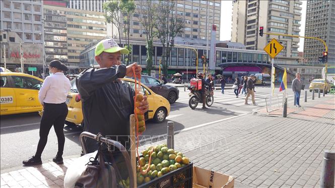 Một người bán hoa quả trên đường phố thủ đô Bogotá, Colombia. Ảnh Phi Hùng - PV TTXVN tại Mỹ Latinh.