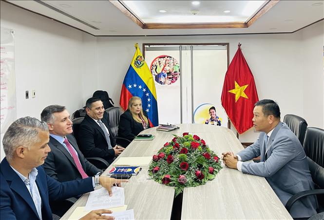 A view of the meeting. VNA/Photo by courtesy