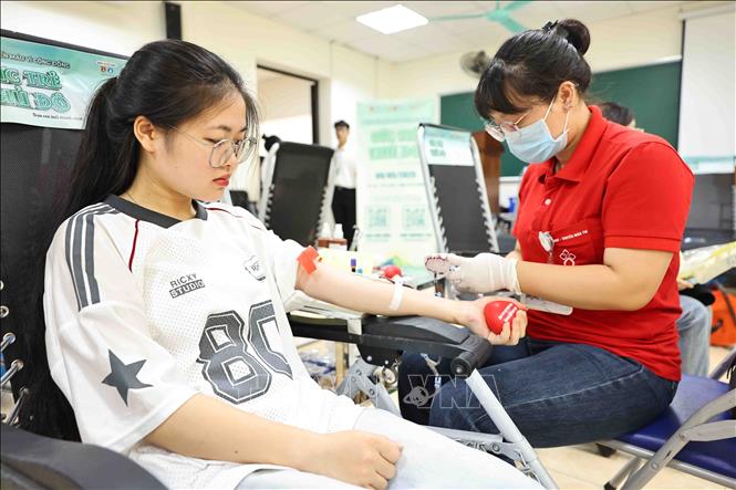 Sinh viên tham gia hiến máu tình nguyện trong ngày hội. Ảnh: Minh Đức – TTXVN