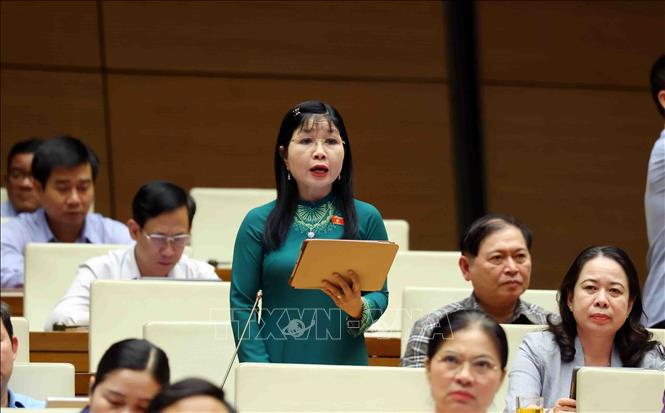 Đại biểu Quốc hội tỉnh An Giang Trần Thị Thanh Hương phát biểu. Ảnh: Phạm Kiên - TTXVN