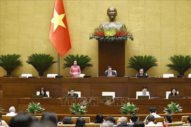 Phó Chủ tịch Quốc hội Nguyễn Thị Thanh phát biểu. Ảnh: Doãn Tấn - TTXVN