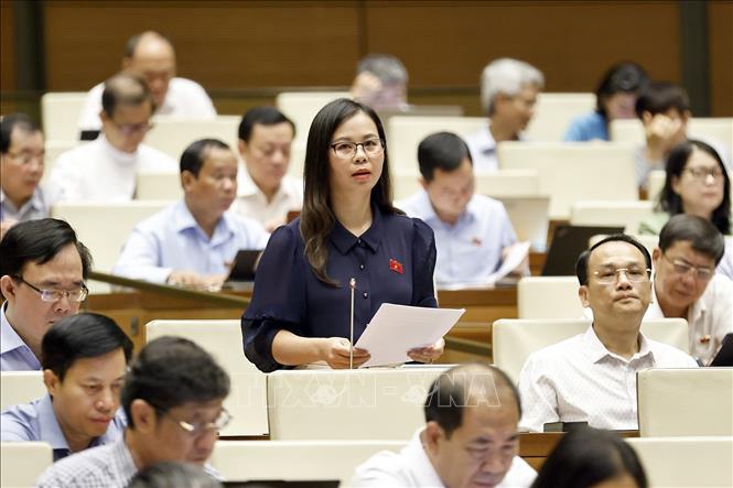 Đại biểu Quốc hội tỉnh Lạng Sơn Chu Thị Hồng Thái phát biểu. Ảnh: Doãn Tấn - TTXVN