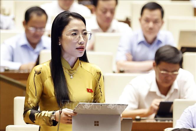 Đại biểu Quốc hội tỉnh Thái Bình Trần Khánh Thu phát biểu. Ảnh: Doãn Tấn - TTXVN