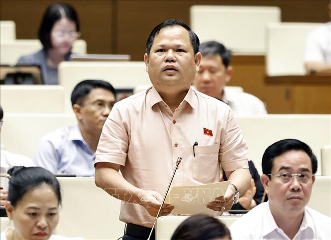 Đại biểu Quốc hội tỉnh Cà Mau Nguyễn Duy Thanh phát biểu. Ảnh: Doãn Tấn - TTXVN