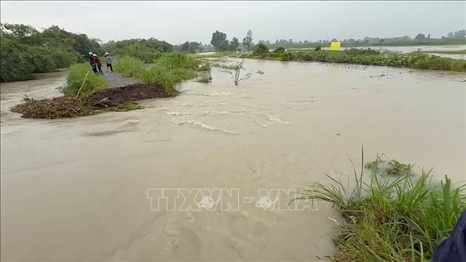 Khu vực Suối Giữa đoạn chảy qua các phường Tương Bình Hiệp, Chánh Mỹ và Hiệp Thành xảy ra tình trạng vỡ bờ bao, dòng nước tràn vào khu dân cư, gây thiệt hại về tài sản và hoa màu của hàng chục hộ dân. Ảnh: Dương Chí Tưởng-TTXVN