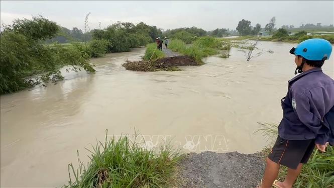 Khu vực Suối Giữa đoạn chảy qua các phường Tương Bình Hiệp, Chánh Mỹ và Hiệp Thành xảy ra tình trạng vỡ bờ bao, dòng nước tràn vào khu dân cư, gây thiệt hại về tài sản và hoa màu của hàng chục hộ dân. Ảnh: Dương Chí Tưởng-TTXVN