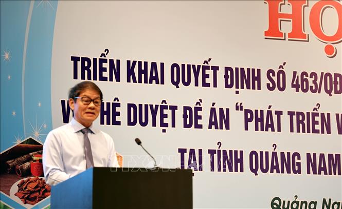 Đại diện các tập đoàn tham gia phát triển ngành công nghiệp dược liệu tại Quảng Nam phát biểu. Ảnh: Trần Tĩnh - TTXVN 