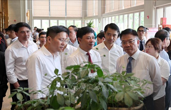 Phó Thủ tướng Lê Thành Long cùng các đại biểu tham quan sản phẩm sâm Ngọc Linh tại tỉnh Quảng Nam. Ảnh: Trần Tĩnh - TTXVN 