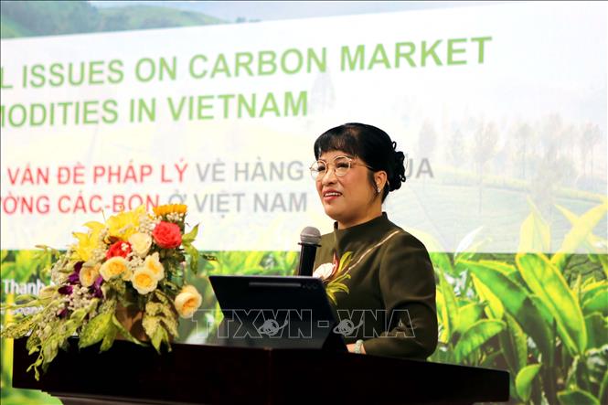 Thạc sĩ Lưu Thị Thanh Mẫu, Phó Chủ tịch Hội doanh nhân trẻ Việt Nam phát biểu tại hội thảo. Ảnh: Thanh Vũ-TTXVN