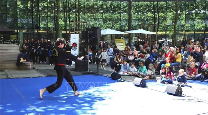 Biểu diễn môn võ Thủy Pháp. Ảnh: Hương Giang - PV TTXVN tại Bỉ