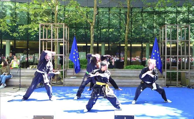 Biểu diễn môn võ Thủy Pháp. Ảnh: Hương Giang - PV TTXVN tại Bỉ