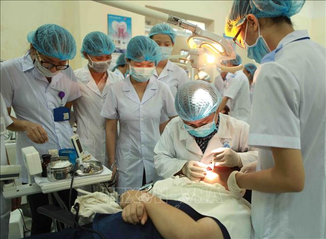 Sinh viên Khoa răng, hàm, mặt thực hành tại Bệnh viện của trường Đại học Y Dược Hải Phòng. Ảnh: Quý Trung – TTXVN