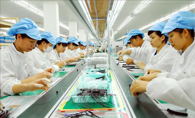 Dây chuyền sản xuất các linh kiện, thiết bị điện tử tại Công ty TNHH Bluecom Vina (100% vốn đầu tư của Hàn Quốc), tại Khu công nghiệp Tràng Duệ (Hải Phòng). Ảnh: Danh Lam - TTXVN