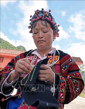 A Lo Lo woman skillfully embroiders floral patterns on traditional attire. VNA Photo: Trần Việt