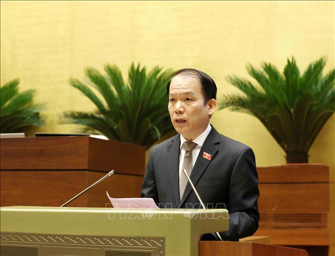 Chủ nhiệm Ủy ban Pháp luật và Tư pháp của Quốc hội Hoàng Thanh Tùng trình bày Báo cáo thẩm tra dự án Luật sửa đổi, bổ sung một số điều của Bộ luật Tố tụng dân sự, Luật Tố tụng hành chính, Luật Tư pháp người chưa thành niên, Luật Phá sản và Luật Hòa giải, đối thoại tại Tòa án. Ảnh: Phương Hoa - TTXVN