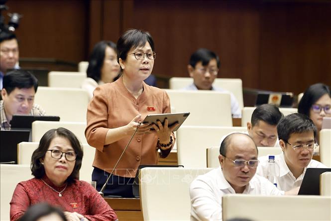 Đại biểu Quốc hội tỉnh Nghệ An Nguyễn Vân Chi tranh luận. Ảnh: Doãn Tấn - TTXVN