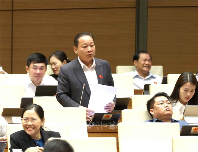 Đại biểu Quốc hội tỉnh Lào Cai Tráng A Dương phát biểu. Ảnh: Phương Hoa - TTXVN