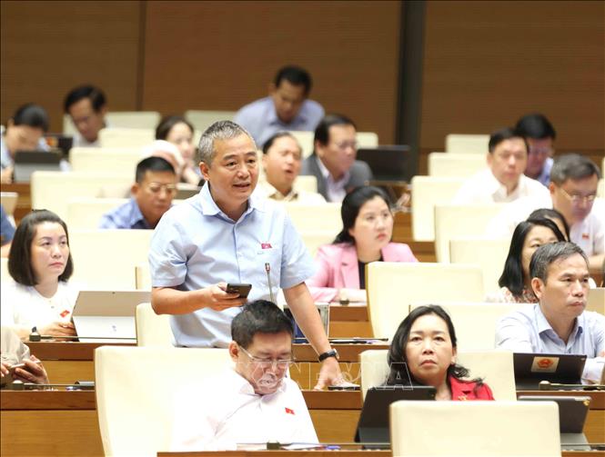 Đại biểu Quốc hội tỉnh Bình Định Nguyễn Lân Hiếu phát biểu. Ảnh: Phương Hoa – TTXVN