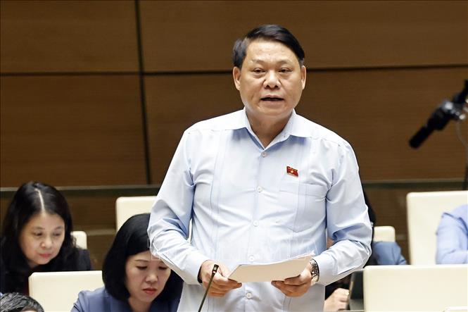 Đại biểu Quốc hội tỉnh Phú Thọ Nguyễn Thành Nam phát biểu. Ảnh: Doãn Tấn - TTXVN