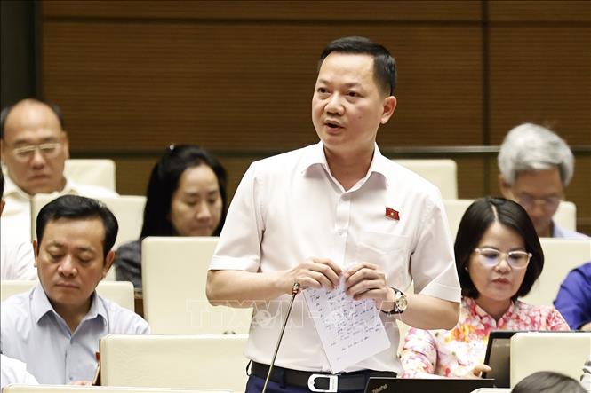 Đại biểu Quốc hội tỉnh Đồng Nai Trịnh Xuân An phát biểu. Ảnh: Doãn Tấn - TTXVN