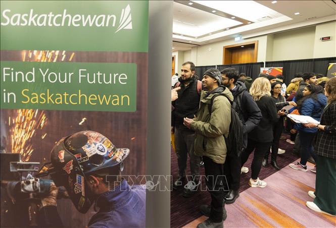 Người dân tham gia hội chợ việc làm tại Toronto, Canada. Ảnh: THX/TTXVN