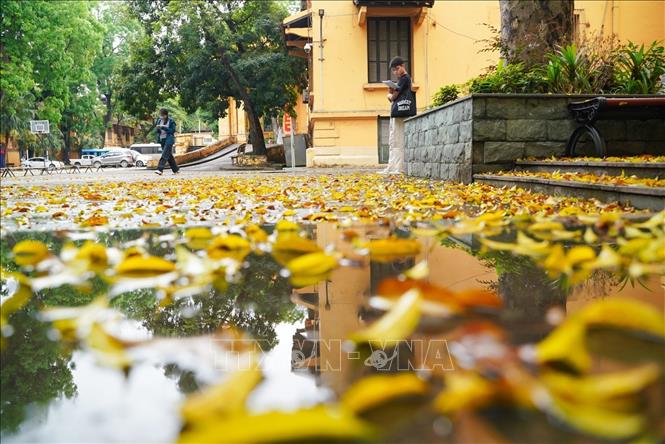 Hà Nội những ngày này bỗng hóa dịu dàng, trầm tư đến lạ. Ảnh: Khánh Hoà - TTXVN