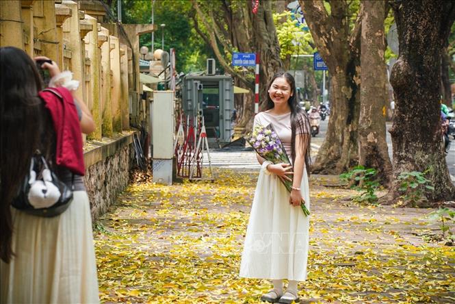 Lưu lại khoảnh khắc với mùa lá rụng. Ảnh:Khánh Hoà - TTXVN