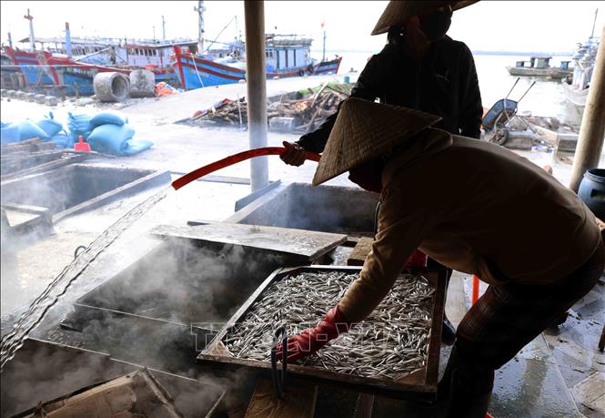 Hiện nay, sở KH&CN Quảng Trị đang triển khai đăng kí nhãn hiệu và truy xuất nguồn gốc cho sản phẩm cá khô hấp của huyện Gio Linh. Ảnh: Vũ Sinh – TTXVN