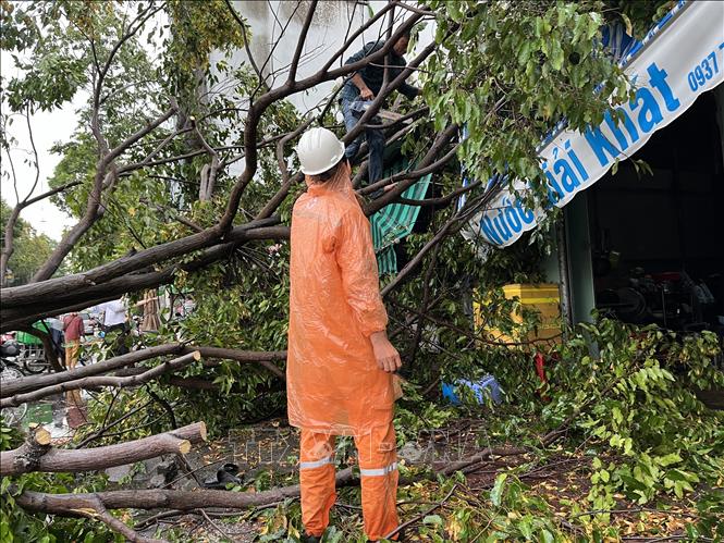 Lực lượng chức năng có mặt sửa chữa điện và cưa dọn cây đổ ngay sau mưa. Ảnh: Đức Hạnh - TTXVN 