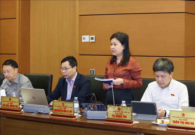 Đại biểu Quốc hội Thành phố Hà Nội Nguyễn Phương Thuỷ thảo luận ở tổ. Ảnh: Phương Hoa - TTXVN