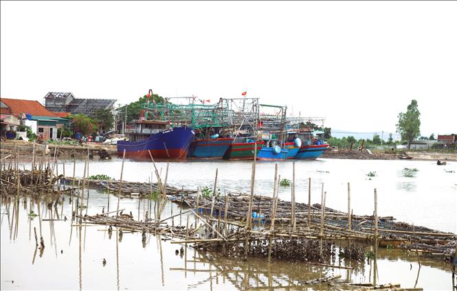 Những bãi cọc và lồng nuôi hàu giăng kín trên mặt sông Hầu đoạn chảy qua địa bàn xã An Hòa (Quỳnh Lưu, Nghệ An). Ảnh: Xuân Tiến - TTXVN 