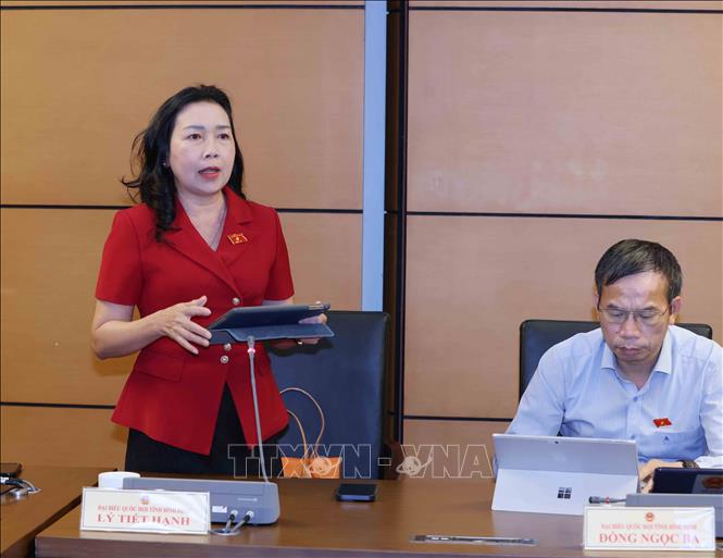 Đại biểu Quốc hội tỉnh Bình Định Lý Tiết Hạnh thảo luận ở tổ. Ảnh: Phương Hoa - TTXVN