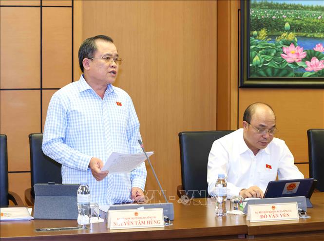Đại biểu Quốc hội tỉnh Bà rịa - Vũng tàu Nguyễn Tâm Hùng thảo luận ở tổ. Ảnh: Phương Hoa - TTXVN