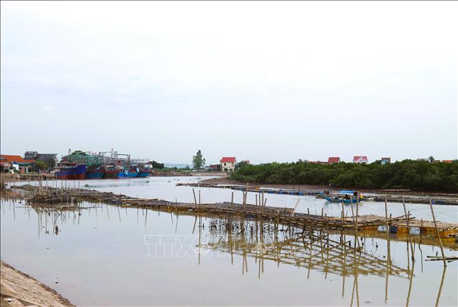 Do bị cản trở từ các bè mảng, lồng nuôi hàu trên sông nên rất nhiều tàu, thuyền di chuyển khó khăn. Đặc biệt vào mùa mưa bão tàu, thuyền của ngư dân rất khó khăn trong việc tìm về nơi tránh trú. Ảnh: Xuân Tiến - TTXVN 