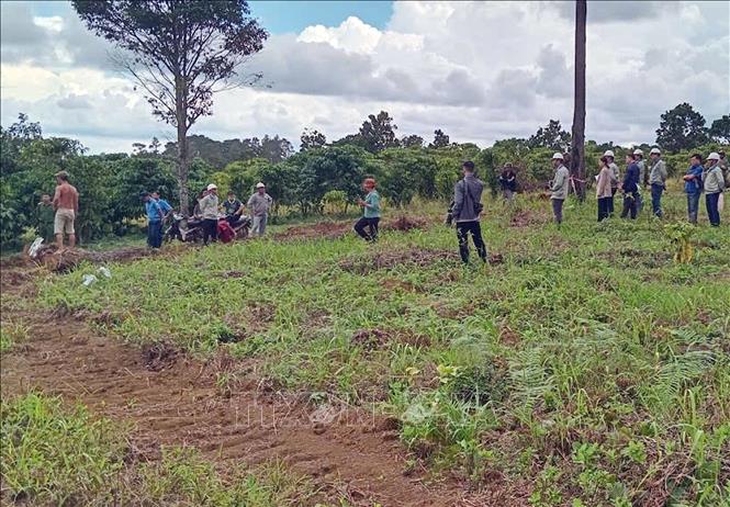 Lâm Đồng: Khởi tố đối tượng dùng dao cản trở thu hồi đất khai thác ...