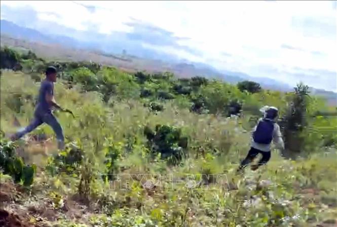 Lâm Đồng: Khởi tố đối tượng dùng dao cản trở thu hồi đất khai thác ...