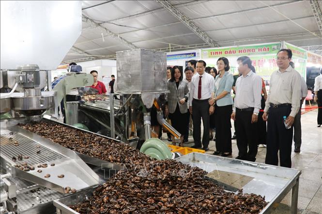 Các đại biểu tham quan các gian hàng khoa học công nghệ. Ảnh: Nhật Bình - TTXVN.