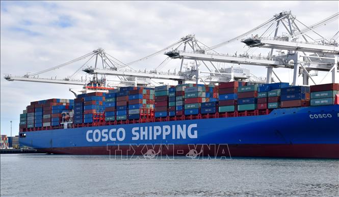 Tàu chở hàng của Tập đoàn vận tải biển Trung Quốc COSCO neo tại cảng Long Beach ở Los Angeles, Mỹ. Ảnh: THX/TTXVN