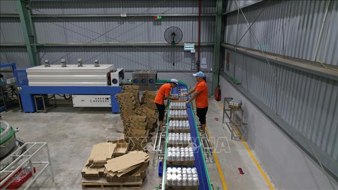 Dự kiến đến cuối năm 2025, Nhà máy sản xuất sản phẩm nước trái cây của Công ty cổ phần nước giải khát Wana (Khu công nghiệp Châu Đức) sẽ hoạt động 100% công suất. Ảnh: Hoàng Nhị - TTXVN