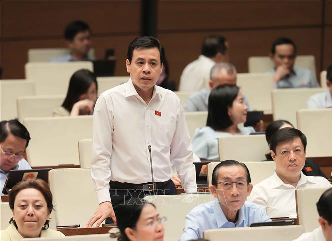 Đại biểu Quốc hội Thành phố Hồ Chí Minh Trần Anh Tuấn phát biểu. Ảnh: An Đăng - TTXVN