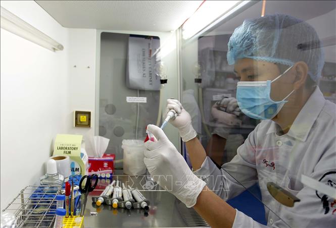 Students practice at the biotech lab of the International University of the National University in Ho Chi Minh City. VNA Photo: Thanh Vũ