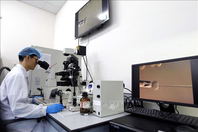 Students practice at the biotech lab of the International University of the National University in Ho Chi Minh City. VNA Photo: Thanh Vũ