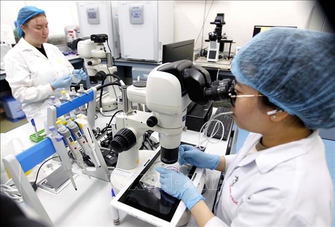 Foreign and domestic students practice at the biotech lab of the International University of the National University in Ho Chi Minh City. VNA Photo: Thanh Vũ