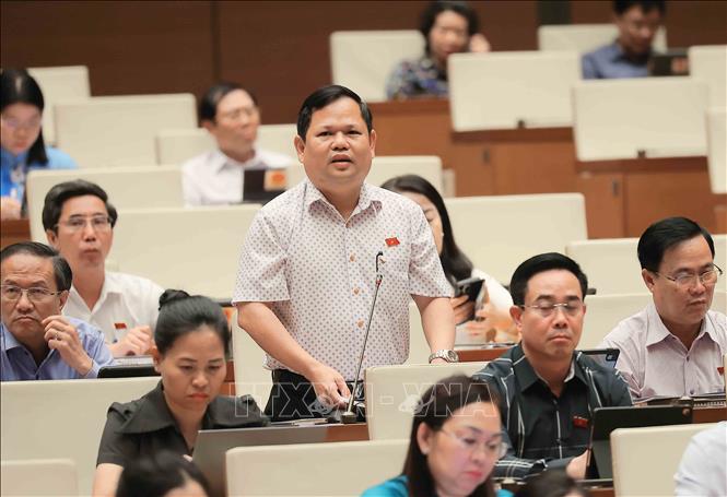 Đại biểu Quốc hội tỉnh Cà Mau Nguyễn Duy Thanh phát biểu. Ảnh: An Đăng - TTXVN